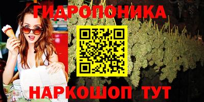 соль ск Гагарин